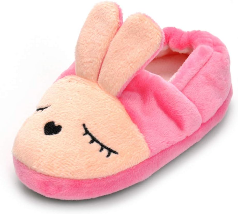 Baby Girl's Premium Soft Plush Slippers Cartoon Warm Winter House Shoes